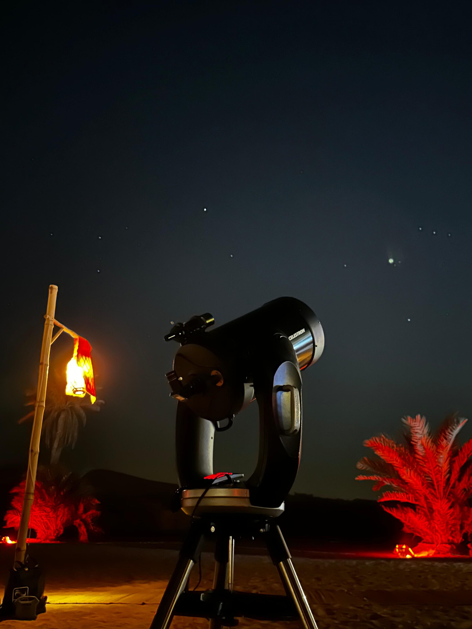 Large-scale telescope observation at a school