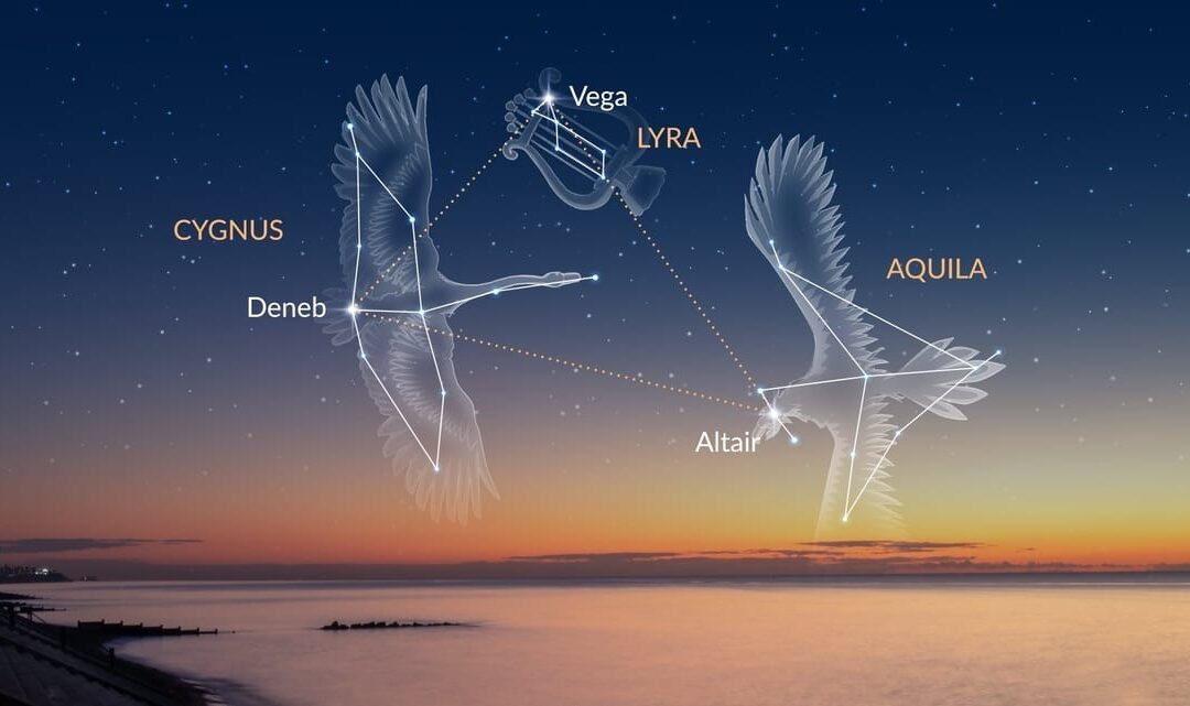 Dubai Astronomy Group Turns Up the Wonder This Summer with Moon Day, Summer Camps, and Night Sky Adventures